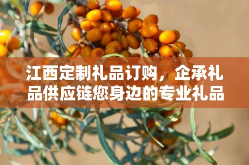 江西定制礼品订购，企承礼品供应链您身边的专业礼品定制公司